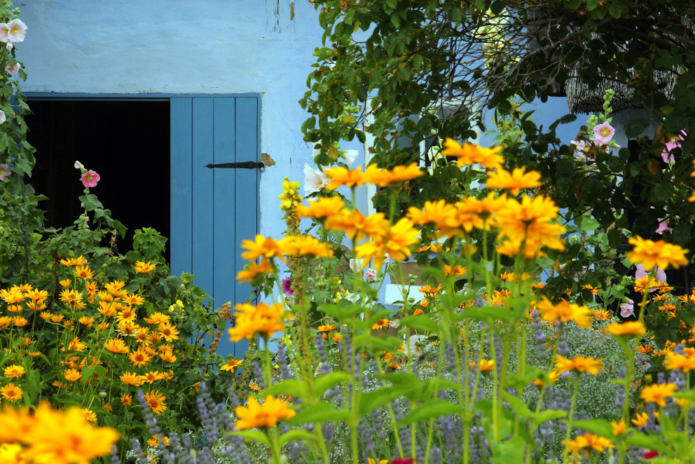 Bauernhaus mit Bauerngarten